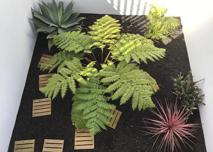 Furnas Houses בית נופש *